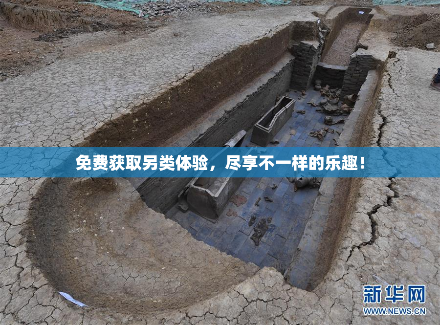 免费获取另类体验，尽享不一样的乐趣！