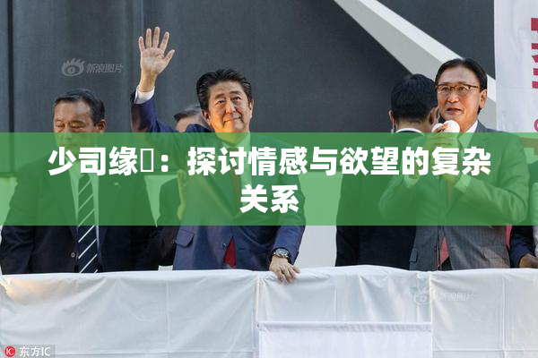 少司缘婬：探讨情感与欲望的复杂关系