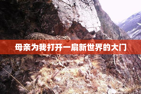 母亲为我打开一扇新世界的大门