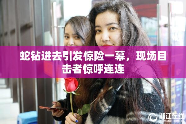 蛇钻进去引发惊险一幕，现场目击者惊呼连连