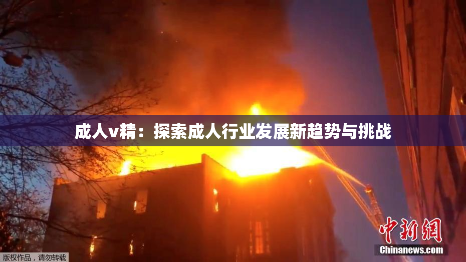 成人v精：探索成人行业发展新趋势与挑战