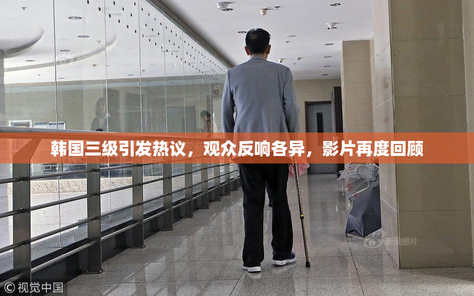 韩国三级引发热议，观众反响各异，影片再度回顾