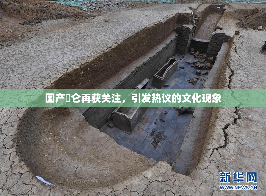 国产婬仑再获关注，引发热议的文化现象