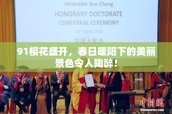 91樱花盛开，春日暖阳下的美丽景色令人陶醉！