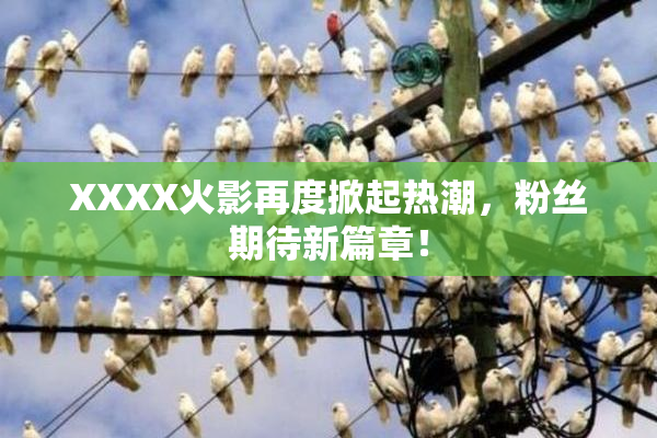 XXXX火影再度掀起热潮，粉丝期待新篇章！