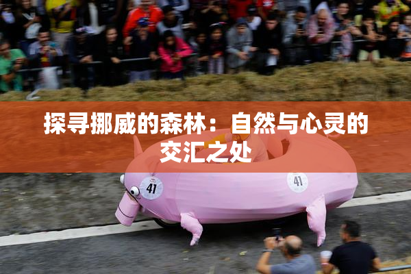 探寻挪威的森林：自然与心灵的交汇之处