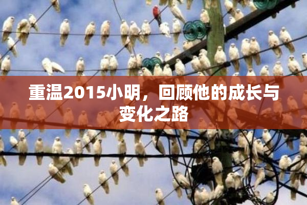 重温2015小明，回顾他的成长与变化之路