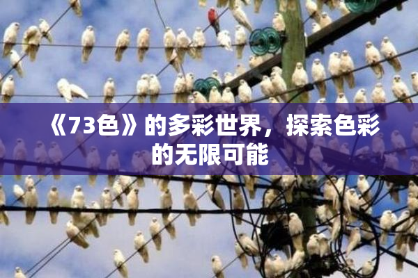 《73色》的多彩世界，探索色彩的无限可能