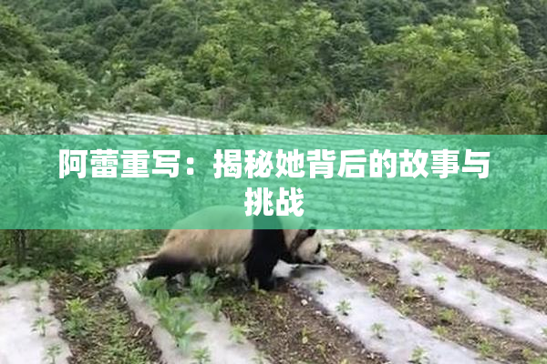 阿蕾重写：揭秘她背后的故事与挑战