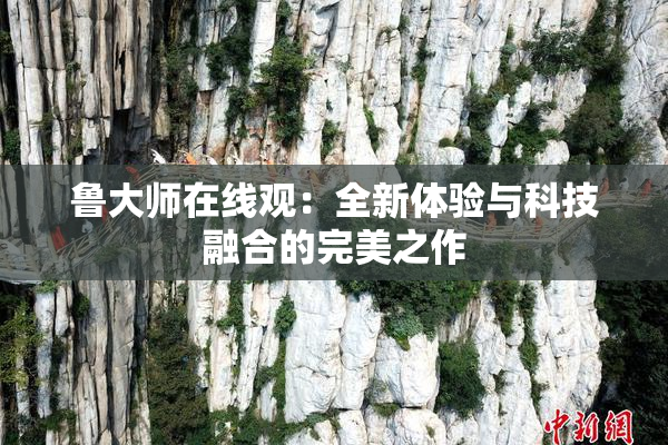 鲁大师在线观：全新体验与科技融合的完美之作