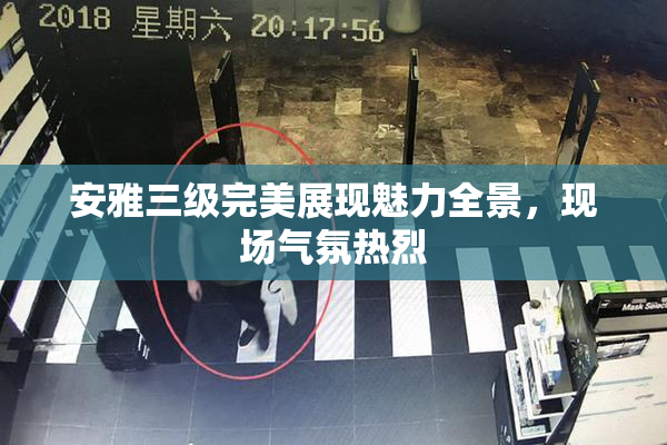 安雅三级完美展现魅力全景，现场气氛热烈
