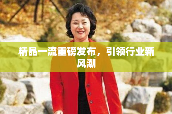 精品一流重磅发布，引领行业新风潮