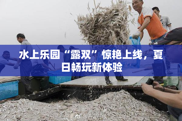 水上乐园“露双”惊艳上线，夏日畅玩新体验