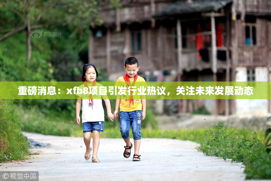 重磅消息：xfb8项目引发行业热议，关注未来发展动态