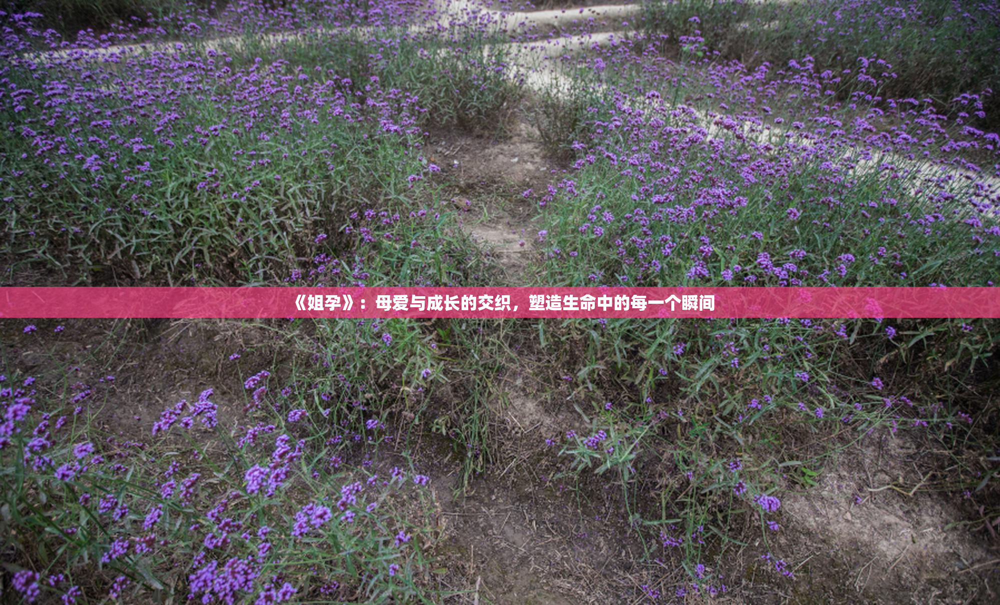 《姐孕》：母爱与成长的交织，塑造生命中的每一个瞬间