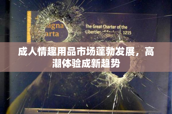 成人情趣用品市场蓬勃发展，高潮体验成新趋势