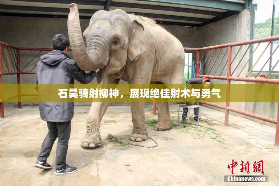 石昊骑射柳神，展现绝佳射术与勇气
