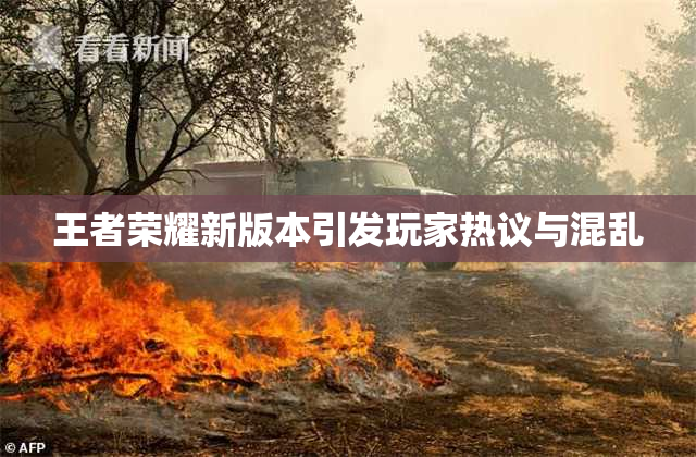 王者荣耀新版本引发玩家热议与混乱