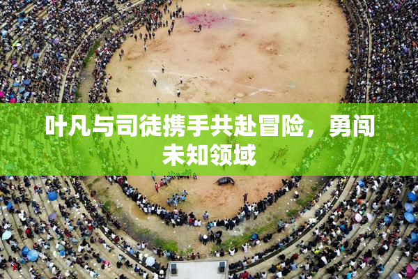 叶凡与司徒携手共赴冒险，勇闯未知领域