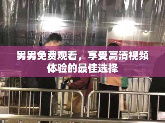 男男免费观看，享受高清视频体验的最佳选择
