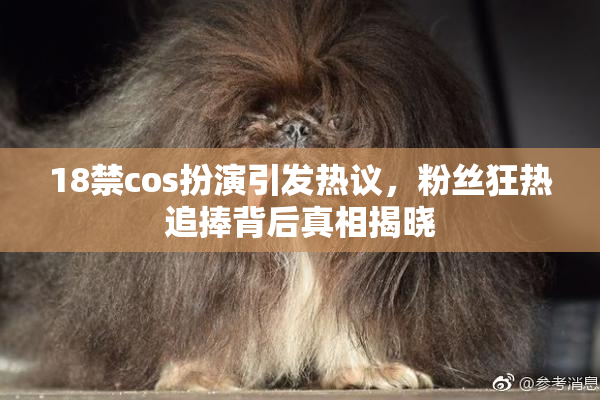 18禁cos扮演引发热议，粉丝狂热追捧背后真相揭晓
