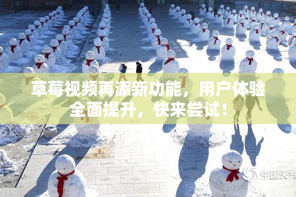 草莓视频再添新功能，用户体验全面提升，快来尝试！