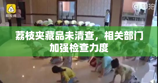 荔枝夹藏品未清查，相关部门加强检查力度