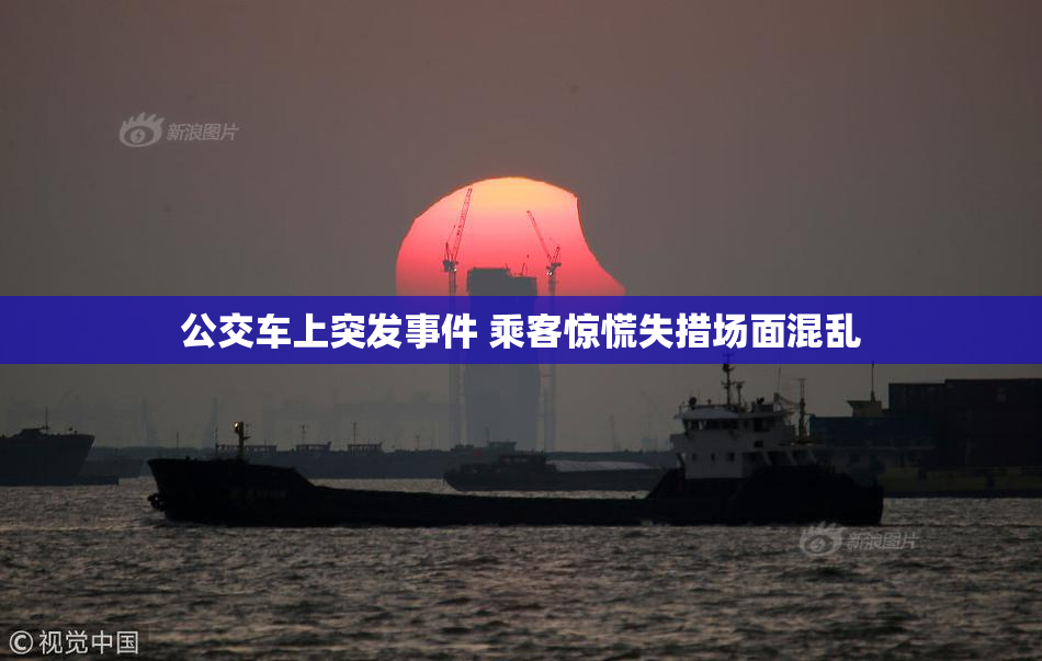 公交车上突发事件 乘客惊慌失措场面混乱