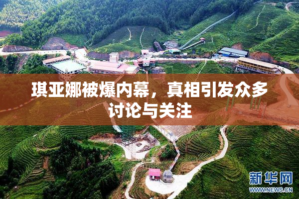 琪亚娜被爆内幕，真相引发众多讨论与关注