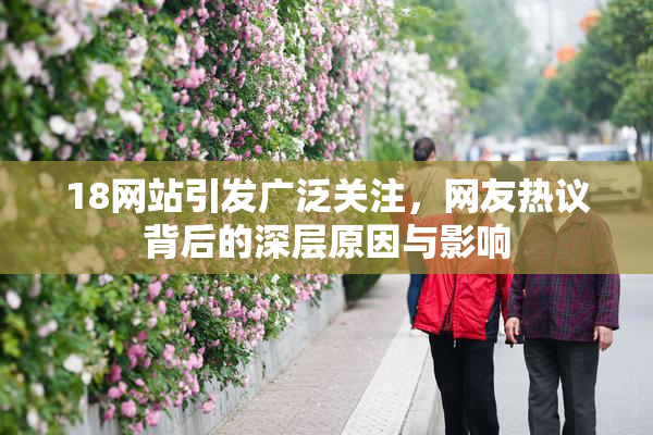 18网站引发广泛关注，网友热议背后的深层原因与影响