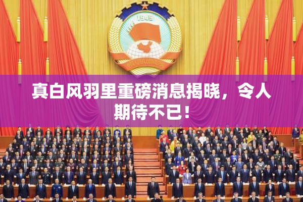 真白风羽里重磅消息揭晓，令人期待不已！