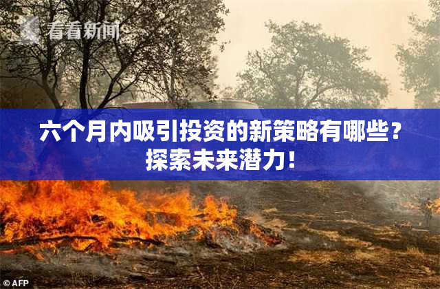 六个月内吸引投资的新策略有哪些？探索未来潜力！