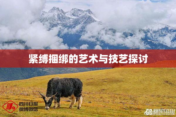 紧缚捆绑的艺术与技艺探讨