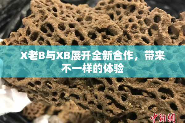 X老B与XB展开全新合作，带来不一样的体验