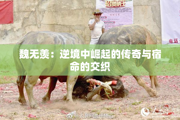 魏无羡：逆境中崛起的传奇与宿命的交织