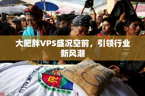 大肥胖VPS盛况空前，引领行业新风潮