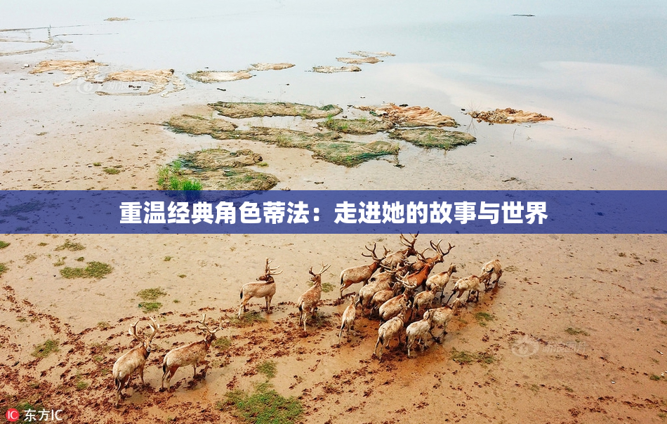 重温经典角色蒂法：走进她的故事与世界
