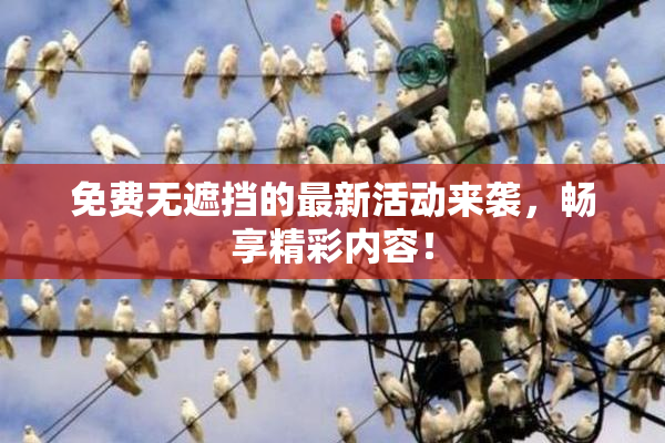 免费无遮挡的最新活动来袭，畅享精彩内容！