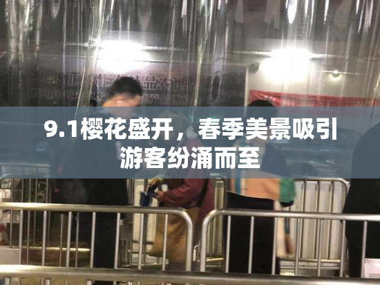 9.1樱花盛开，春季美景吸引游客纷涌而至