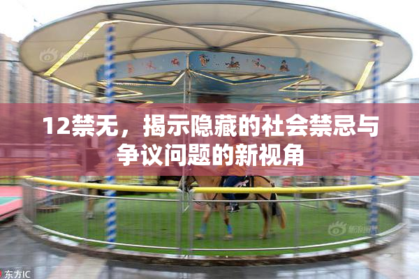 12禁无，揭示隐藏的社会禁忌与争议问题的新视角