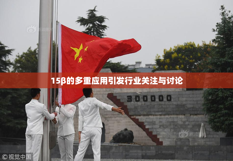 15β的多重应用引发行业关注与讨论
