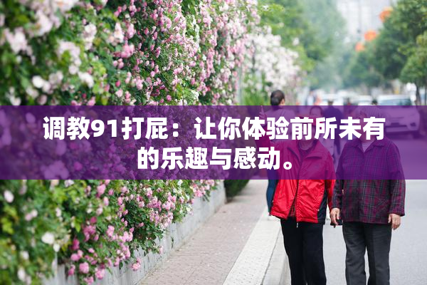 调教91打屁：让你体验前所未有的乐趣与感动。