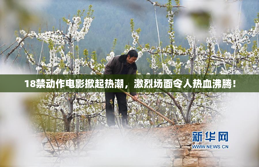 18禁动作电影掀起热潮，激烈场面令人热血沸腾！