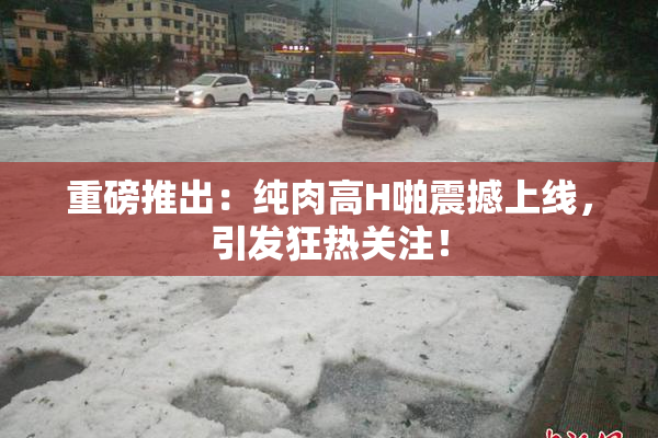 重磅推出：纯肉高H啪震撼上线，引发狂热关注！