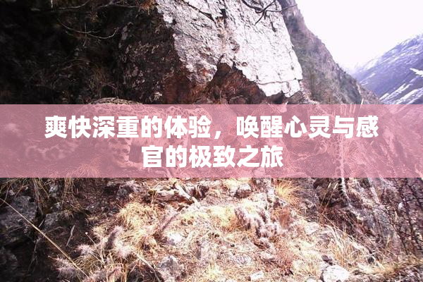 爽快深重的体验，唤醒心灵与感官的极致之旅