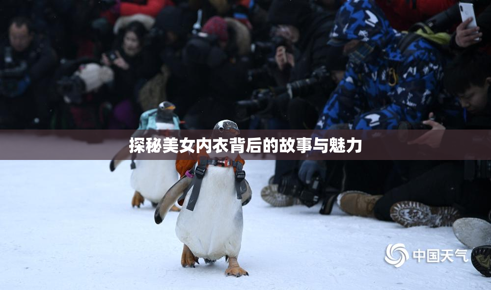 探秘美女内衣背后的故事与魅力