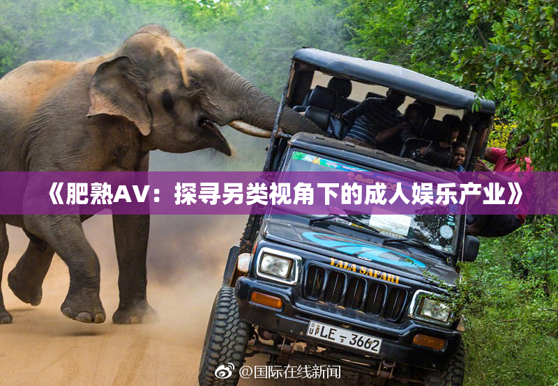 《肥熟AV：探寻另类视角下的成人娱乐产业》