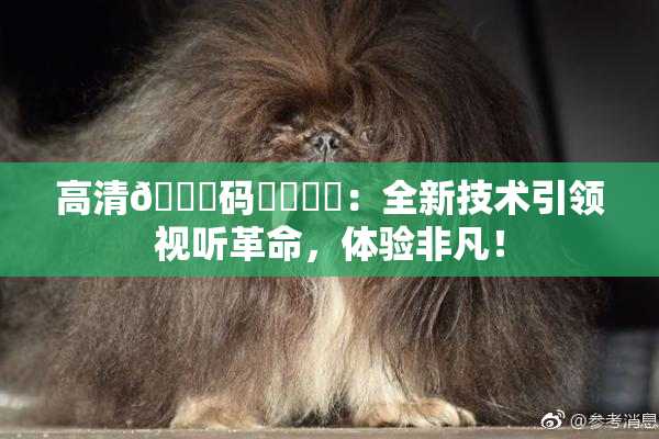 高清🈚码❌‌❌‌：全新技术引领视听革命，体验非凡！