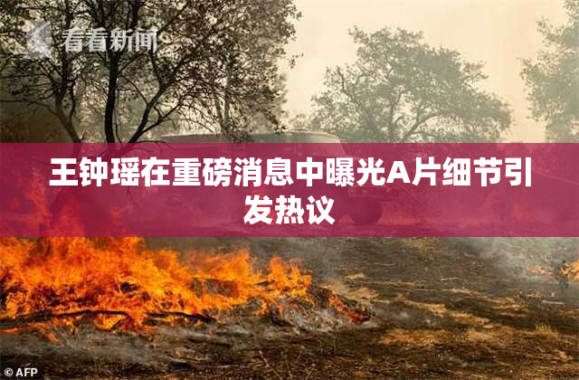 王钟瑶在重磅消息中曝光A片细节引发热议
