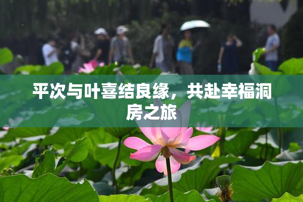 平次与叶喜结良缘，共赴幸福洞房之旅